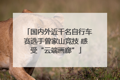 国内外近千名自行车赛选手曾家山竞技 感受“云端画廊”