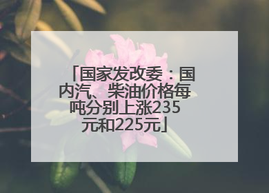 国家发改委：国内汽、柴油价格每吨分别上涨235元和225元
