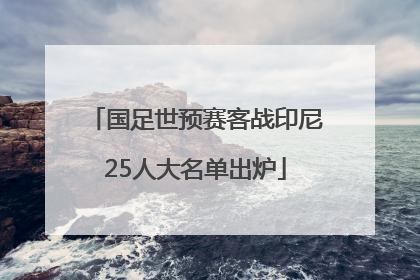 国足世预赛客战印尼25人大名单出炉