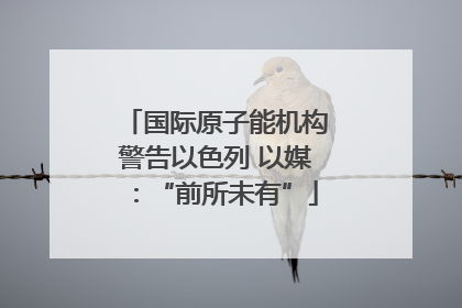 国际原子能机构警告以色列 以媒：“前所未有”