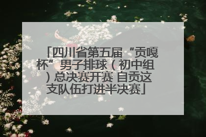 四川省第五届“贡嘎杯”男子排球（初中组）总决赛开赛 自贡这支队伍打进半决赛