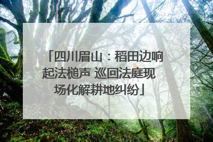 四川眉山：稻田边响起法槌声 巡回法庭现场化解耕地纠纷
