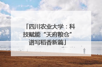 四川农业大学：科技赋能“天府粮仓”谱写稻香新篇