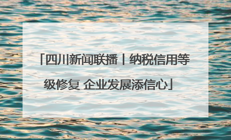 四川新闻联播丨纳税信用等级修复 企业发展添信心