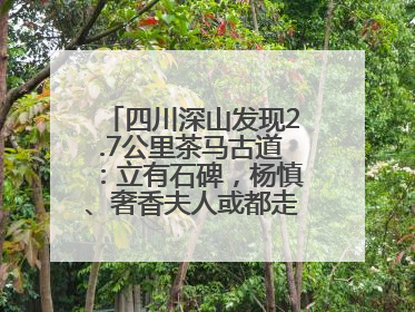 四川深山发现2.7公里茶马古道：立有石碑，杨慎、奢香夫人或都走过这条路