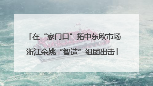 在“家门口”拓中东欧市场 浙江余姚“智造”组团出击