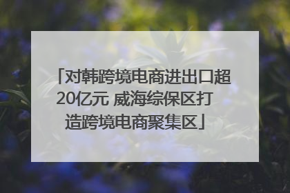 对韩跨境电商进出口超20亿元 威海综保区打造跨境电商聚集区