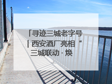 寻迹三城老字号｜西安酒厂亮相“三城联动 · 焕新消费”老字号嘉年华 共话品牌传承与创新