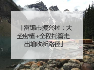 富锦市振兴村：大垄密植+全程托管走出增收新路径
