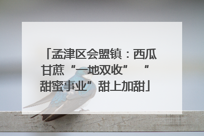 孟津区会盟镇：西瓜甘蔗“一地双收” “甜蜜事业”甜上加甜