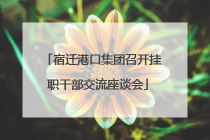 宿迁港口集团召开挂职干部交流座谈会