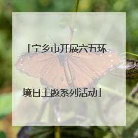 宁乡市开展六五环境日主题系列活动