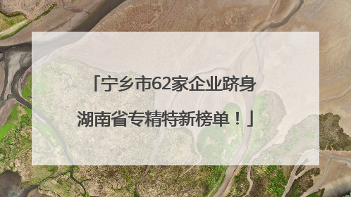 宁乡市62家企业跻身湖南省专精特新榜单！