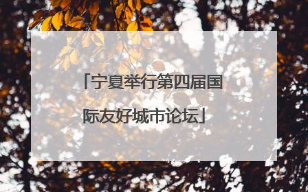 宁夏举行第四届国际友好城市论坛