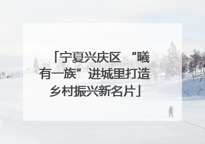 宁夏兴庆区 “曦有一族”进城里打造乡村振兴新名片