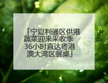 宁夏利通区供港蔬菜迎来采收季 36小时直达粤港澳大湾区餐桌