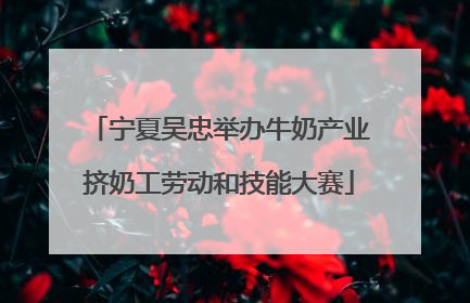 宁夏吴忠举办牛奶产业挤奶工劳动和技能大赛
