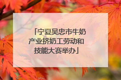 宁夏吴忠市牛奶产业挤奶工劳动和技能大赛举办