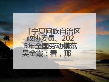 宁夏回族自治区政协委员、2025年全国劳动模范吴金霞：看，那一片金色的霞光