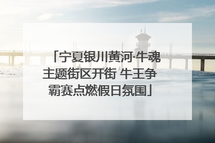 宁夏银川黄河·牛魂主题街区开街 牛王争霸赛点燃假日氛围