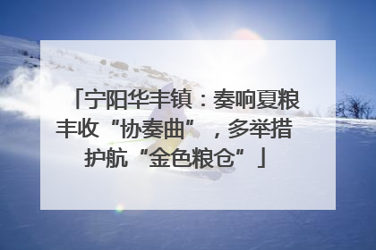 宁阳华丰镇：奏响夏粮丰收“协奏曲”，多举措护航“金色粮仓”