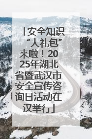 安全知识“大礼包”来啦！2025年湖北省暨武汉市安全宣传咨询日活动在汉举行