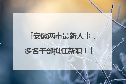 安徽两市最新人事，多名干部拟任新职！
