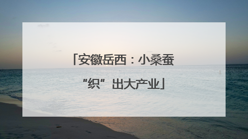 安徽岳西：小桑蚕“织”出大产业