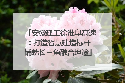 安徽建工徐淮阜高速：打造智慧建造标杆 铺就长三角融合坦途