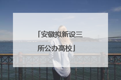 安徽拟新设三所公办高校