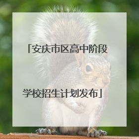 安庆市区高中阶段学校招生计划发布