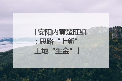 安阳内黄楚旺镇：思路“上新” 土地“生金”