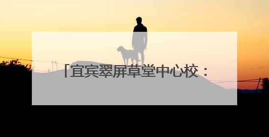 宜宾翠屏草堂中心校：多举措筑牢安全防线，全方位护航校园安全