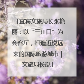 宜宾文旅局长张艳丽：以“三江口”为会客厅，打造近悦远来的国际旅游城市｜文旅局长说
