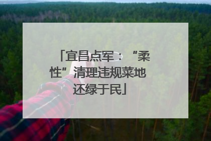 宜昌点军：“柔性”清理违规菜地 还绿于民