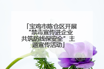 宝鸡市陈仓区开展“禁毒宣传进企业 共筑防线保安全”主题宣传活动