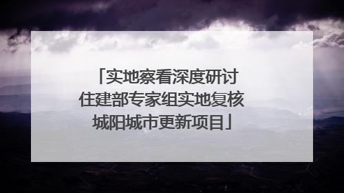 实地察看深度研讨 住建部专家组实地复核城阳城市更新项目