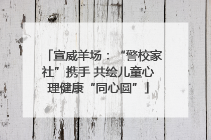宣威羊场：“警校家社”携手 共绘儿童心理健康“同心圆”