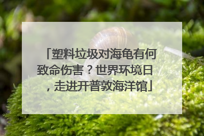塑料垃圾对海龟有何致命伤害？世界环境日，走进开普敦海洋馆