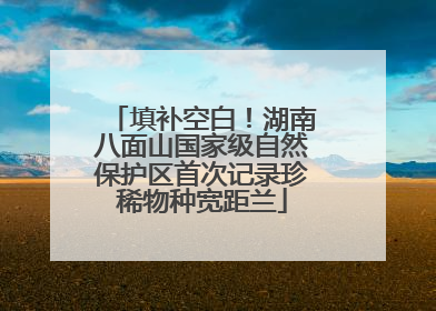 填补空白！湖南八面山国家级自然保护区首次记录珍稀物种宽距兰