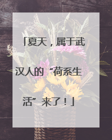 夏天，属于武汉人的“荷系生活”来了！