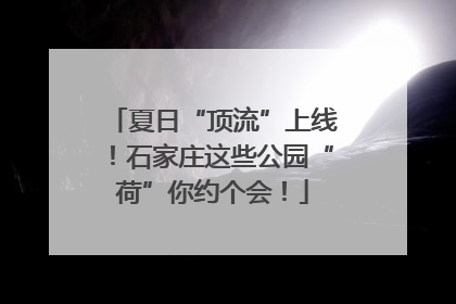 夏日“顶流”上线！石家庄这些公园“荷”你约个会！