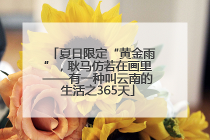 夏日限定“黄金雨”，耿马仿若在画里——有一种叫云南的生活之365天