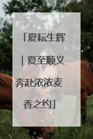 夏耘生辉｜夏至顺义奔赴浓浓麦香之约