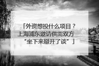 外资想投什么项目？上海浦东邀请供需双方“坐下来掰开了谈”