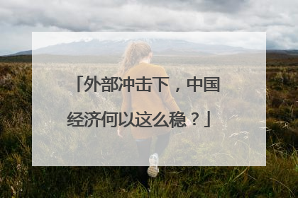 外部冲击下，中国经济何以这么稳？