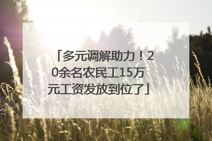 多元调解助力！20余名农民工15万元工资发放到位了