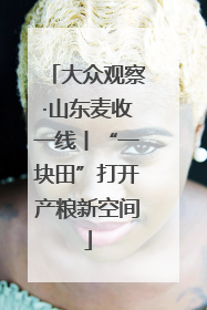 大众观察·山东麦收一线丨“一块田”打开产粮新空间