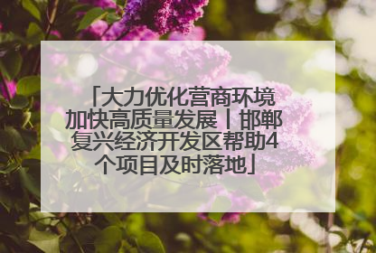 大力优化营商环境 加快高质量发展丨邯郸复兴经济开发区帮助4个项目及时落地