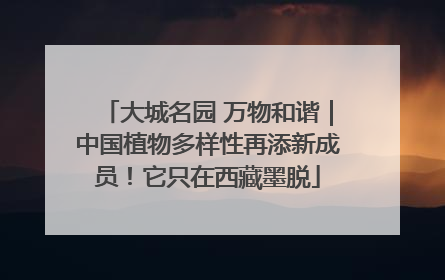 大城名园 万物和谐｜中国植物多样性再添新成员！它只在西藏墨脱